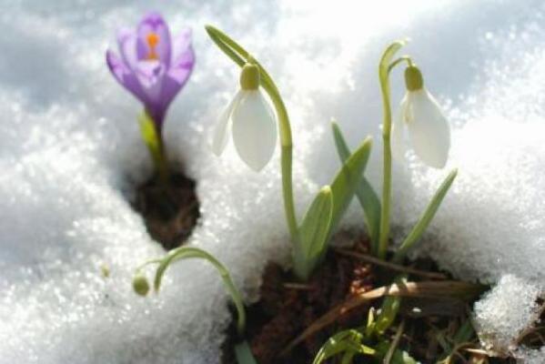 Temperaturi în creştere! Prognoza METEO pentru weekend