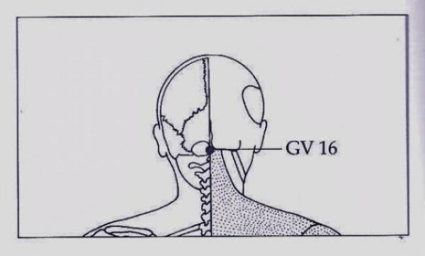 Un CUB de GHEAŢĂ îţi poate reda TINEREŢEA! Trucul care face furori în întreaga lume