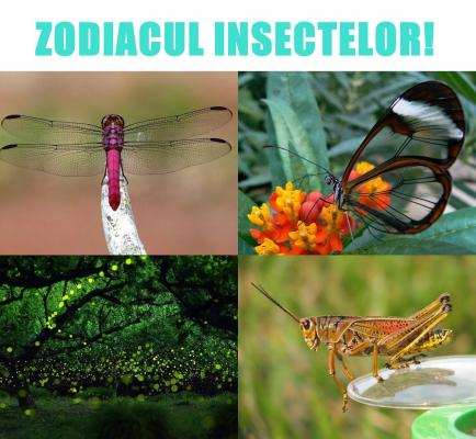 Eşti albină?! Sau poate FLUTURE?! Zodiacul GÂZELOR pentru anul acesta