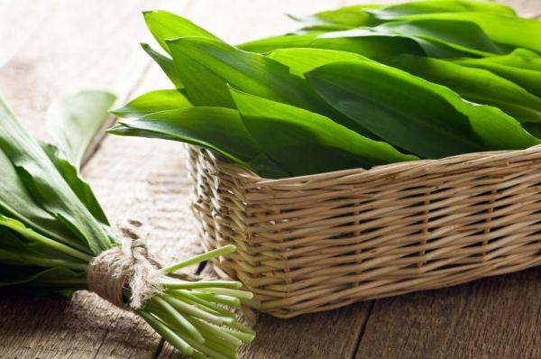 Ce se întâmplă în organismul tău dacă mănânci LEURDĂ