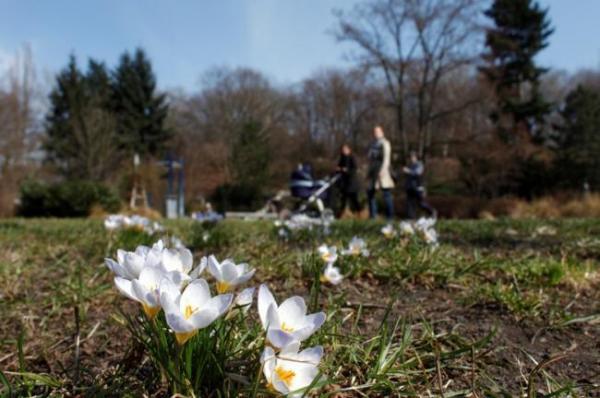 Prognoza METEO! Temperaturi apropiate de mediile climatologice