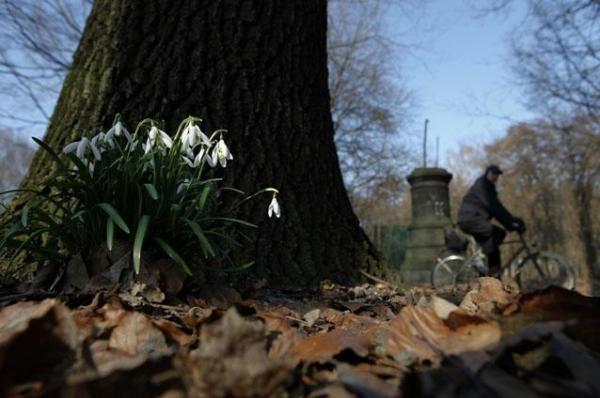VREMEA se încălzeşte!