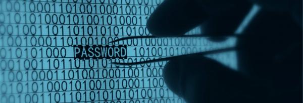 Informaticienii români apără Ucraina de atacurile cibernetice