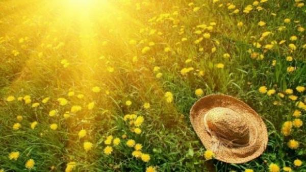 Cum va fi VREMEA în această vară. Prognoza meteo până în luna august