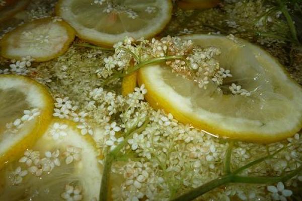 E plin sezon! Cea mai bună REȚETĂ de SOCATĂ de CASĂ