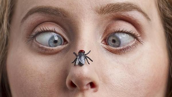 Scapă de ele vara asta! O LEGUMĂ le vine muștelor de hac!