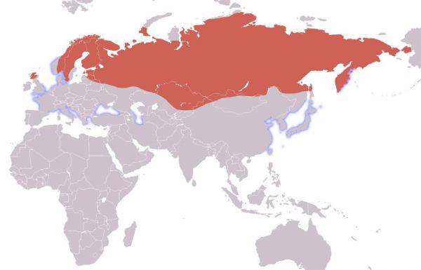 Rusia revendică oficial la ONU peste un milion de kilometri pătrați în Arctica