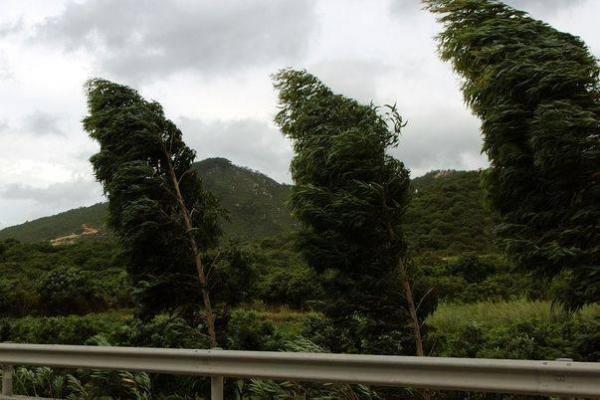 Atenţie mare! Meteorologii anunţă COD GALBEN de vânt