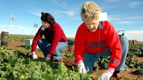 Câţi bani vor plăti Statului românii din strainătate care nu realizează niciun venit în ţară