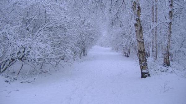 AVERTISMENTUL meteorologilor! Ploi, NINSORI şi vijelii în aproape toată ţara în week-end