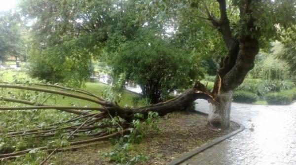 Este DEZASTRU în România din cauza vremii. Ce se întâmplă ACUM în mai multe localităţi din ţară