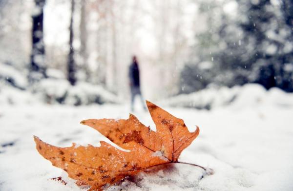 Vremea SE RĂCEŞTE brusc, după temperaturi incredibile înregistrate astăzi