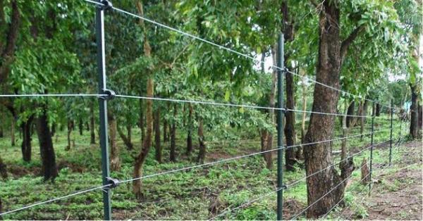 Caz incredibil la Botoşani! Un bătrân de 78 de ani, trimis în judecată după ce a ELECTROCUTAT un copil!