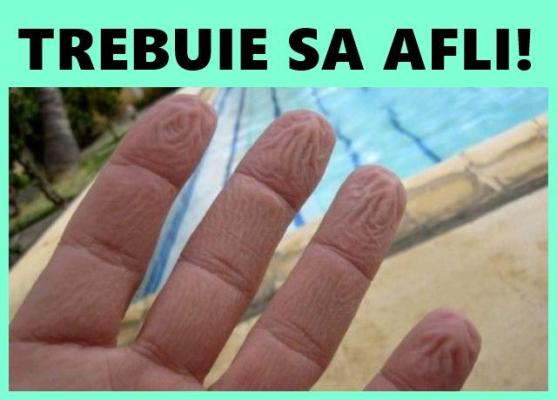 Te-ai întrebat vreodată? De ce ţi se încreţesc DEGETELE când stai prea mult în apă