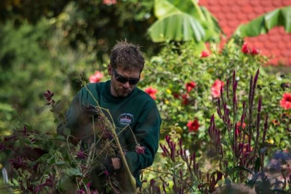 Un colț de rai în propria curte. 5 idei pentru a‐ți amenaja grădina cu bani puțini