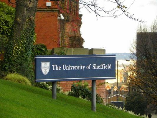 Daily Income și Universitatea Sheffield au ales câștigătorul bursei Executive MBA