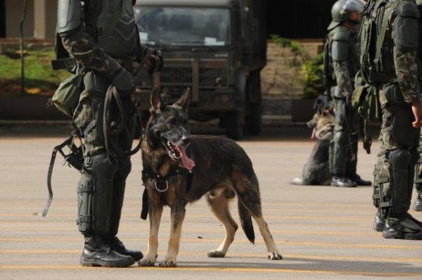 Incident la Rio. Fotoreporter român, blocat de armată pe Copacabana. “Mi-am dat seama imediat că nu e glumă”