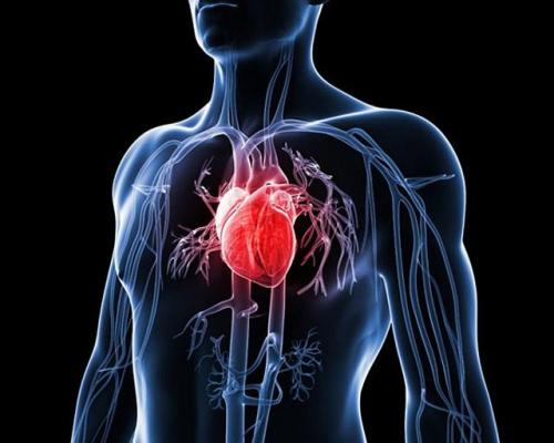 În premieră! Primul site dedicat afecţiunilor cardiovasculare