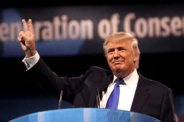 VIRAL: Pisicile îl urăsc pe Donald Trump. Reacţia incredibilă a unor animale la vederea candidatului republican la Casa Albă (VIDEO)
