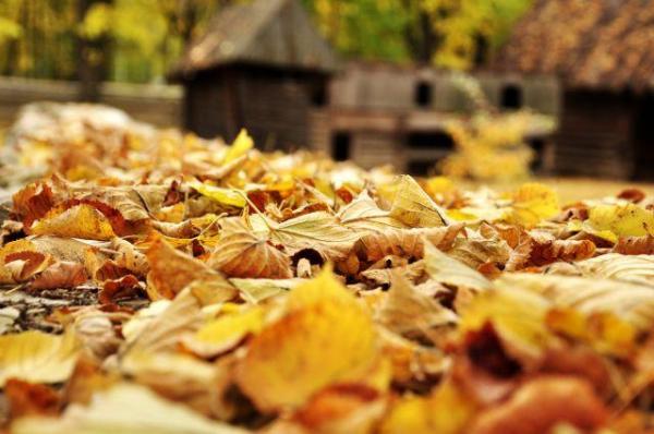 Cum va fi VREMEA în următoarele două săptămâni. Prognoza meteo până pe 25 septembrie