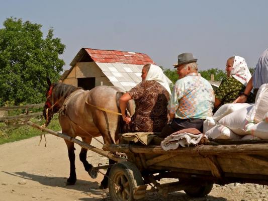 Mărturii ŞOCANTE despre România: “Aici, toată lumea e numai după bani, bani, bani”; “Nu am înţeles niciodată de ce sunt oamenii în România aşa stresaţi. Explodaţi din orice”