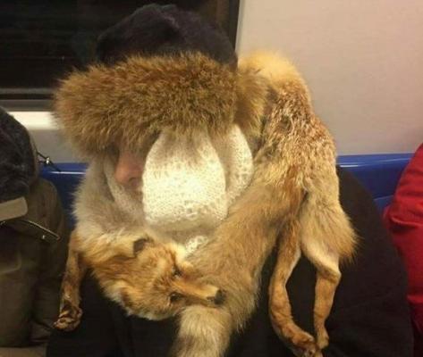 IMAGINEA ZILEI: o doamnă din Bucureşti se protejează de viscol cu VULPEA (FOTO)