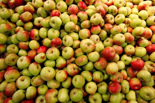 Comerţul en gros a crescut cu 10,7% în noiembrie 2016, susţinut de afacerile cu produse agricole