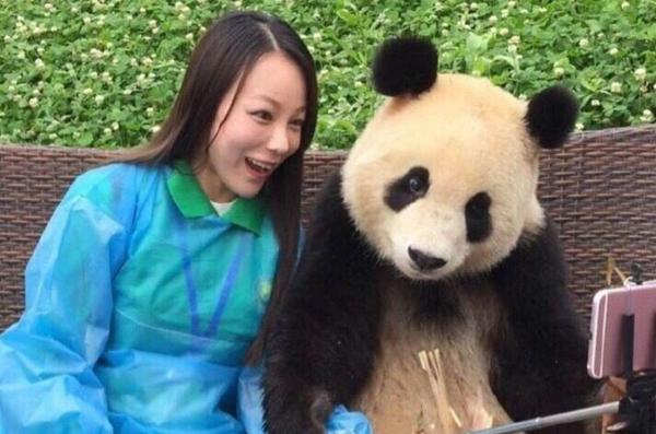SELFIE MANIA! Arta selfie-ului, stăpânită perfect de un URS PANDA uriaş (GALERIE FOTO)