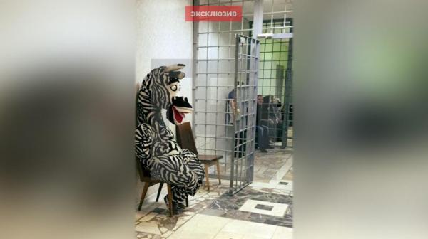 Premieră în mijlocul iernii: poliţiştii au arestat...o zebră!