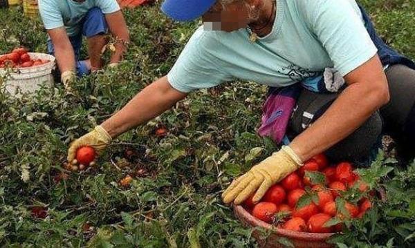 Români, trataţi ca nişte SCLAVI în Italia! Erau ţinuţi fără apă potabilă şi curent şi erau BĂTUŢI dacă îşi cereau drepturile