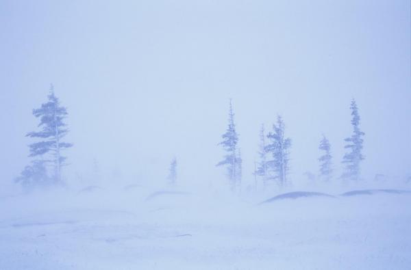 COD GALBEN de VISCOL, în vigoare până la ora 10. Vreme geroasă şi ziua, şi noaptea în acest weekend