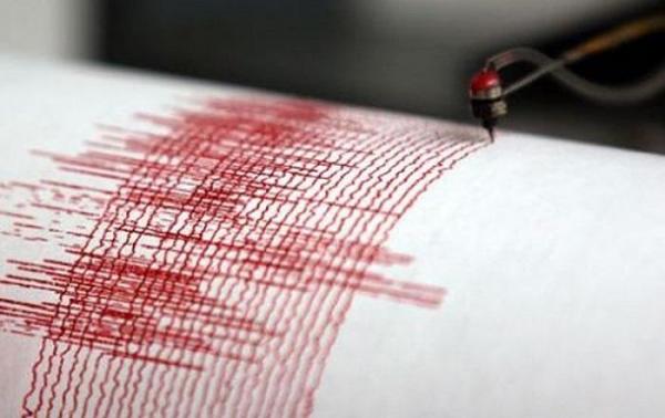 Două cutremure s-au produs în Buzău, în doar două ore