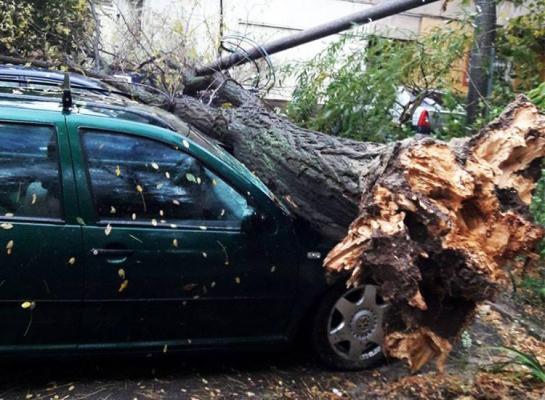 Vremea face ravagii în ţară! Zeci de maşini distruse, mii de case fără curent şi drumuri înzăpezite!