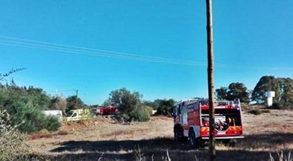 MOARTE GROAZNICĂ pentru un român de 56 de ani, în Portugalia. Bărbatul se urcase în vârful unui pin, să culeagă conuri