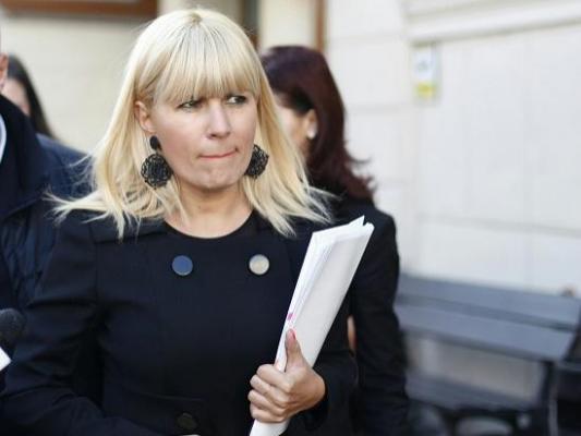 Elena Udrea, declaraţii explozive în instanţă: 'Îl rugam pe fostul soţ să contribuie cu bani la PDL; societatea funcţionează pe pile'