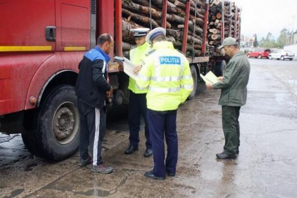Polițiștii din Câmpulung au amendat cu 500 de lei o tânără care a semnalat la 112 un posibil furt de lemne