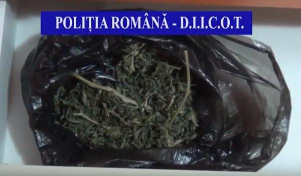 Reţea de traficanţi de droguri, destructurată la Vâlcea. Patru tineri au fost prinşi în timp ce vindeau canabis (VIDEO)