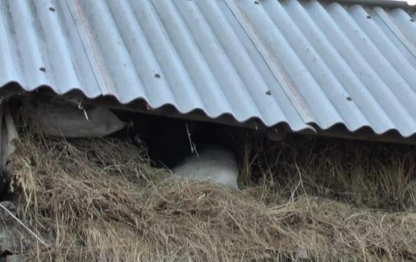 Caz dramatic în Neamț! O tânără de 26 de ani a fost găsită ÎNGHEȚATĂ în podul casei, unde se refugiase de teama tatălui (VIDEO)