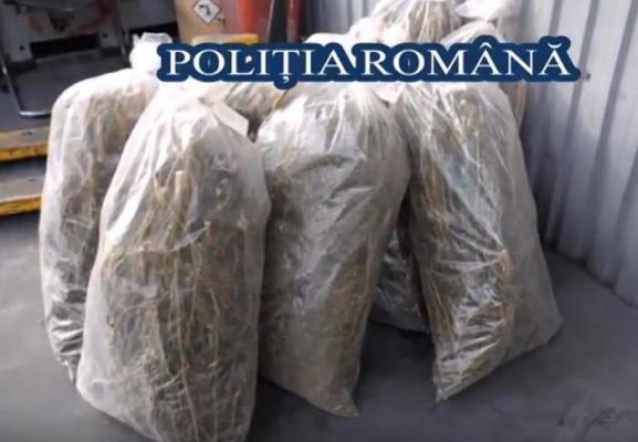 Poliţia a distrus mai mult de o tonă de droguri confiscate în ultimii ani. Inclusiv o captură impresionantă din iunie 2016 (video)