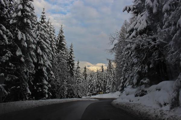 Accident la Păltiniş! Un autocar cu 20 de copii la bord a derapat pe un drum forestier