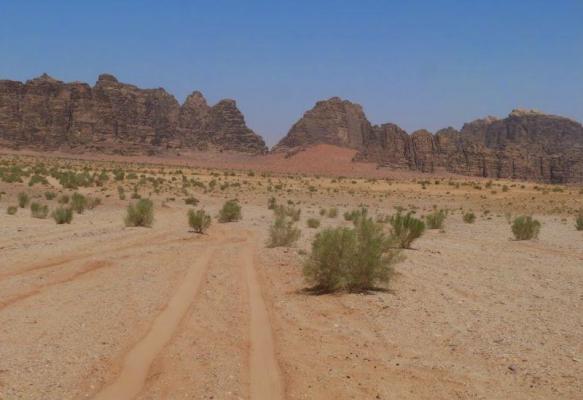 DESCOPERIRE MACABRĂ: 100 de cadavre descoperite de autorităţi într-o groapă comună