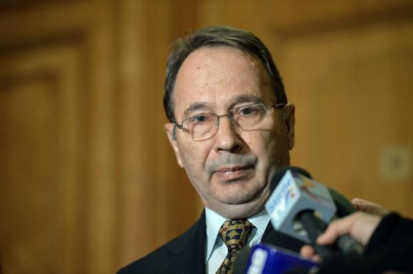 DORNEANU, despre sesizările pe Ordonanţă: "Sperăm să ne pronunţăm înainte de 10 februarie"