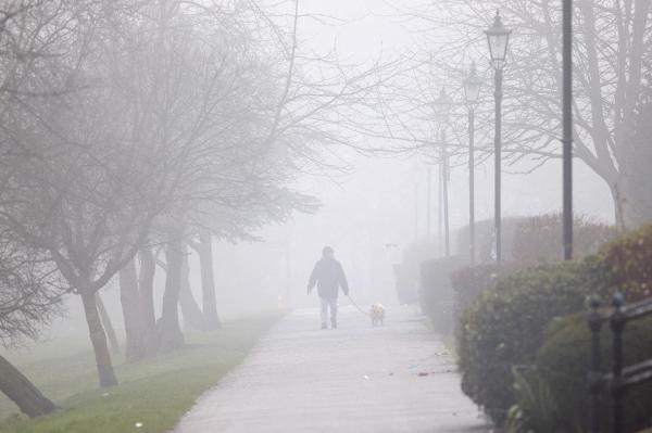 COD GALBEN DE CEAŢĂ în patru judeţe din ţară. Ce zone sunt afectate