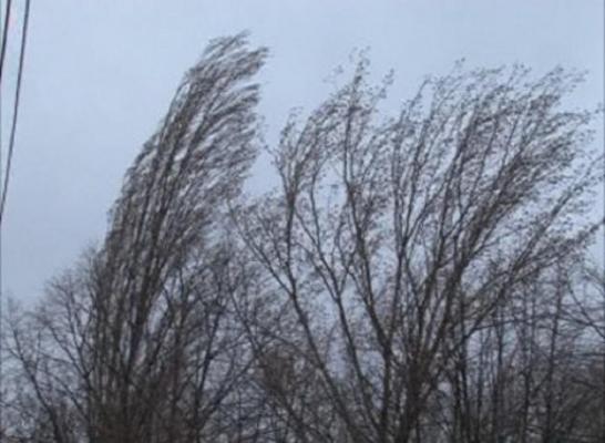 ALERTĂ METEO! Este COD GALBEN de VÂNT în următoarele ore. Ce regiuni sunt afectate