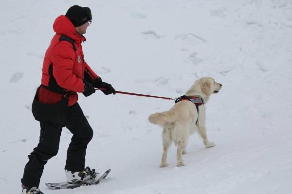 Echipele de salvare au reluat căutarea alpiniştilor dispăruţi în Masivul Retezat. Operaţiunea este îngreunată de viscol