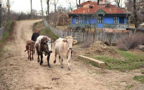 O treime dintre comunele României au grade de sărăcie peste medie şi severe
