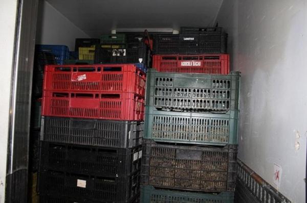 RAZIE la Giurgiu! Tone de carne de vită şi sute de kilograme de peşte, CONFISCATE înainte să ajungă în pieţele din Capitală