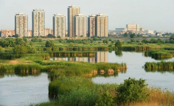 INCENDIU în Parcul Văcăreşti! Un hectar de teren este afectat. Flăcările pot să se extindă din cauza vântului (VIDEO)