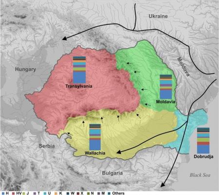 Fiecare cu ADN-UL lui! Un studiu arată diferenţe considerabile ale structurii genetice între TRANSILVĂNENI şi ceilalţi locuitori ai României