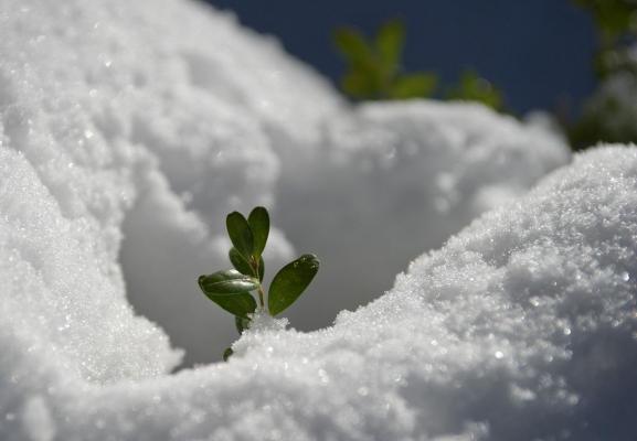 Stratul de zăpadă a crescut cu JUMĂTATE DE METRU la Bâlea Lac, în câteva ore. Risc de avalanşă FOARTE RIDICAT, în Făgăraş